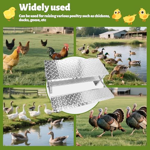 ‎Fsehyue Automatic Chicken Feeder Chook Food Feeder Capacity Treadle Self Opening Pou with Weatherproof Lid Rain Cover for Roosters Pheasant Chicken Outdoor Coop Silver Full Aluminum(11lbs/5000g)