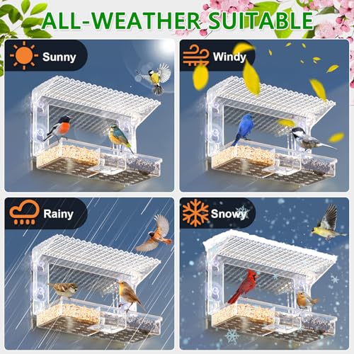 Gbekery Window Bird Feeder for Viewing with Suction Cups & Detachable Tray | Clear Acrylic Window-Mounted Feeder, Removable Separate Seed & Water Tray with Drainage Holes, Ideal Gift for Bird Watchers