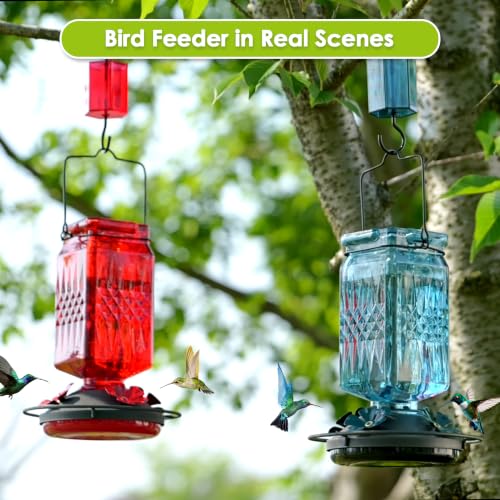 20oz Glass Hummingbird Feeder for Outdoors Hanging, Bird Nectar Feeder with 4 Bee Guard Flower-Shaped Feeding Ports & Built-in Ant Moat, for Bird Lover, Red (2 Pack) - color: Red 2 Pack