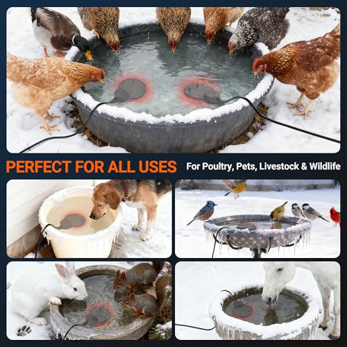 Chicken Water Heater for Winter with Immersion Design, Bird Bath & Livestock De-Icer, Fish Tank and Water Trough Heater with Automatic Thermostat — Prevents Freezing for Poultry, Turtle & Koi Pond