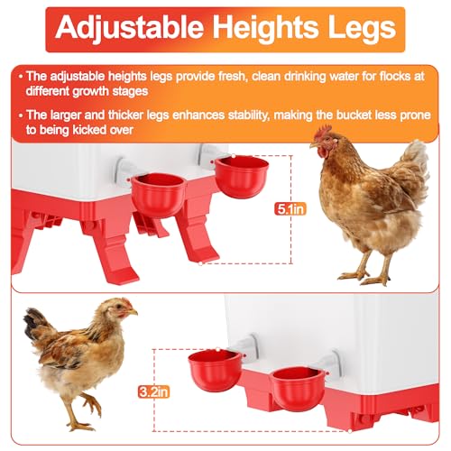 5.0 Gal Chicken Waterer Bucket with 4 Double-Layer Waterer Cups | Height-adjustable, Anti-roost Cone for Backyard Chicken Flocks - style: Waterer with Cups