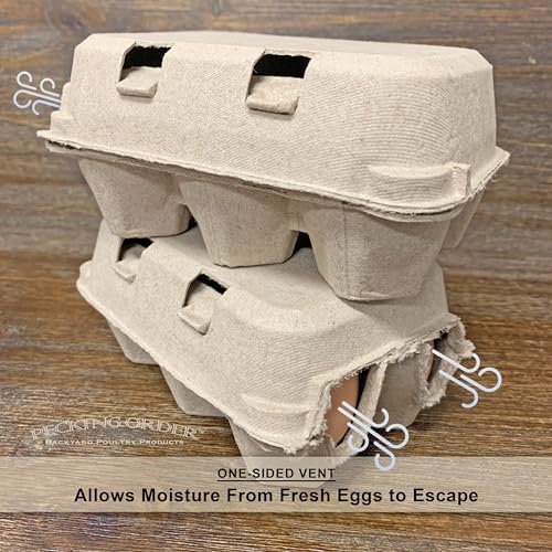 6-Egg Paper Egg Cartons - 24 Pack
