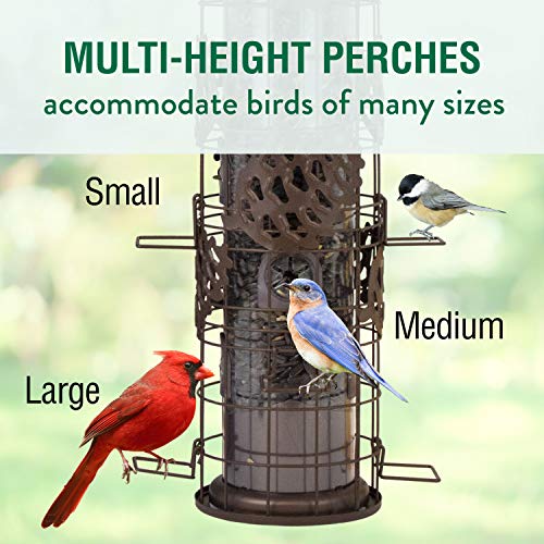 Perky-Pet Squirrel-Be-Gone Max Pinecone Bird Feeder with Flexports – 1.75 lb Capacity