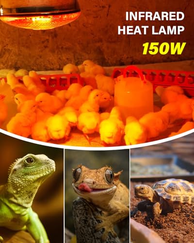 Heat Lamp Bulbs for Chickens Coop Brooder with Plug in Cord,On/Off Switch,150 Watt E26 Reptile Heat Lamp Bulb Infrared Red Light for Chicks,Birds,Ducks,Dogs,Cats