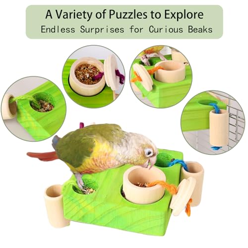 Birdie Puzzle Feeder - Interactive Foraging Toy for Parrots, Parakeets, Cockatiels, Conures | Mental Enrichment & Stimulation Game to Prevent Boredom (Green) - color: green