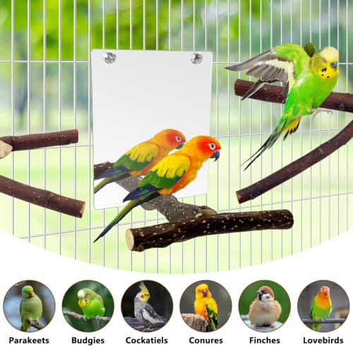 BNOSDM 5PCS Bird Mirror with Perches Stand Parrot Natural Wood Stick Perches Forked Perch Branch Parakeet Toy Set Bird Cage Accessories for Budgie Cockatiel Conure Finch Lovebird
