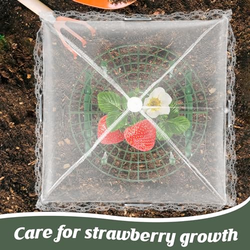 4 Sets Strawberry Plant Support with Mesh Plant Cover,Strawberry Growing Racks Sets with Iron Plant Nails and Storage Bag for Garden Strawberry Vegetables(White Net - Round) - color: White Net - Round