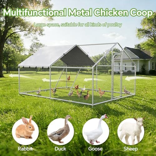 10 x 13.2 x 6.4 FT Metal Chicken Coop, Chicken Run with Cover | Walk-in Metal Chicken Coop, Side Hardware Cloth, Waterproof Cover, Roosting Perch, reinforced frame, Backyard & Farm Use - size: 157.5"L x 119.0"W x 77.2"H