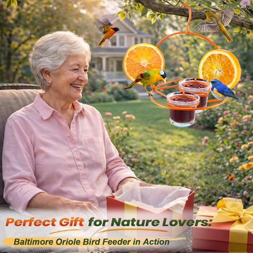 2 Pack Oriole Bird Feeder for Outdoors Jelly and Oranges, Hanging Oriole Feeder with Ant Moat & 2 Glass Cups & Cleaning Brush & Screwdriver, Metal Bird feeders for Outdoors for Jelly Nectar (2 Cups)