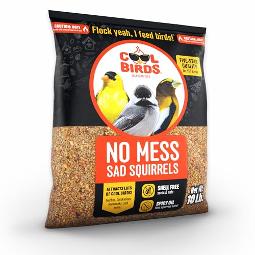 Cool Birds No Mess Sad Squirrels Hot Bird Seed, 10 lb | Spicy shell-free blend of peanuts, sunflower hearts & chili pepper oil – Birds can't detect heat, critters can