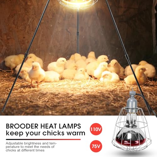 Chick Brooder Box, Chick Starter Kit with Heat Lamp, Chick Perch, Flip Top Poultry Feeder, Baby Chicken Supplies for Duck and Quail