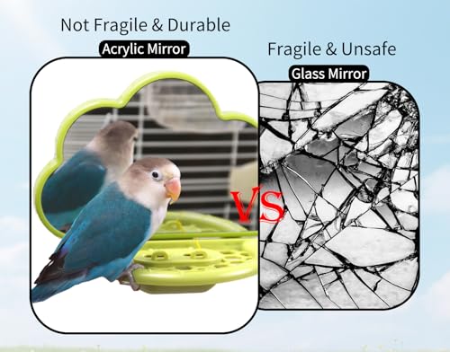 Bird Mirror Toy with Perch & Slow Feeder, Bird Cage Accessories Parakeet - color: Green