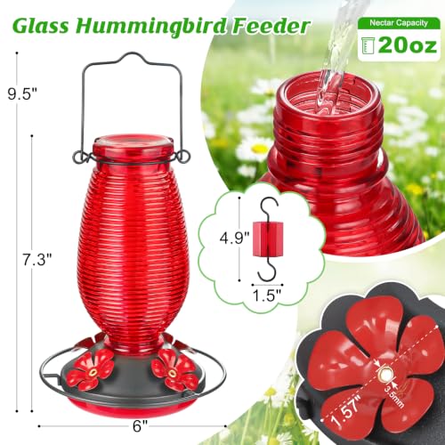 Glass Hummingbird Feeder for Outdoors Hanging, 20 OZ Humming Birds Feeders with 4 Bee Guard Feeding Ports & Built-in Ant Moat, Bird Feeder for Outside, Red,2 Pack
