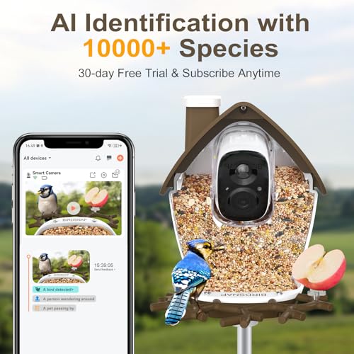 Smart Bird Feeder with Camera Solar Powered 2K HD Live Video with 32GB Card | AI Identifies 10,000+ Bird Species, Instant Alerts, IP65 Waterproof, Easy Setup, Bird Watching Gift for Bird Lovers - color: Brown