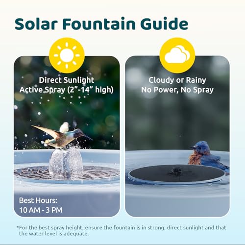 Smart Bird Bath with Camera Solar Powered & Fountain & Stand, Dual-Lens Camera for Wildbird Watching, Auto Capture Bird Videos & Motion Detection - AI by Subscription - style: AI by Subscription