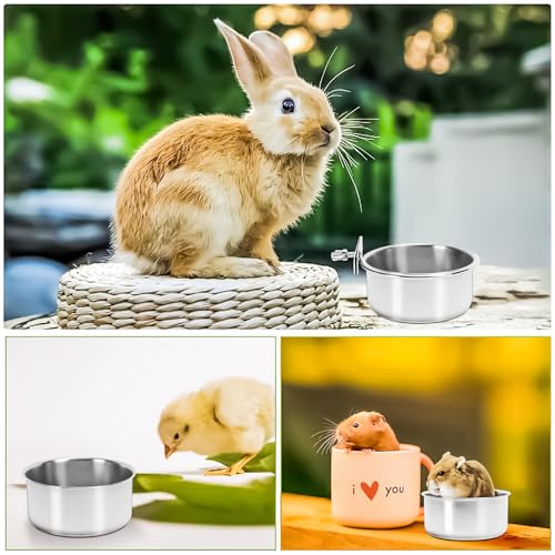 2 Pack Bird Feeding Bowls Cups Parrot Food Water Dishes, Stainless Steel Bird Bowl Cup Dish with Clamp, Birdcage Feeder Pet Cage Bowls for Cockatiel Budgie Conure Macaw Parakeet Small Animal - size: 2 Pack