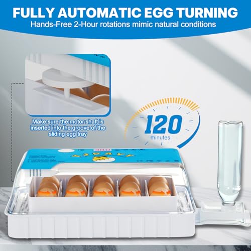 Incubators for Hatching Eggs 15-35 Eggs Incubator with Automatic Egg Turning and Temperature Humidity Control Display LED Candler Poultry Incubator for Hatching Chicken Duck Quail (Blue)