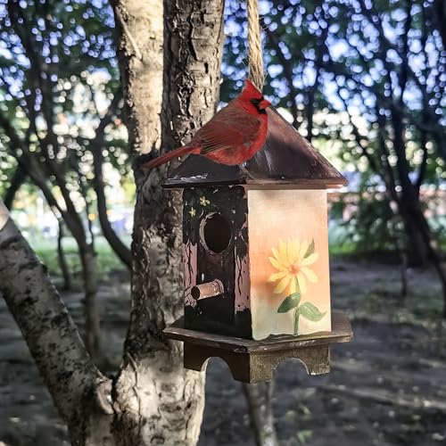Berfutall-DIY Wooden Bird House for Outdoor, Wild Bird Feeder, Hanging Birdhouse,Perfect for Cardinals, Bluebirds, and More. (D)