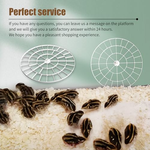 Quail/Bird Egg Turner Tray Compatible with Nurture Right 360 Incubator Tray | Quail Birds Egg Turner Tray, 48 Slot Small Egg Rotating Tray -Egg Turning Rack Easy Use, Vanshly