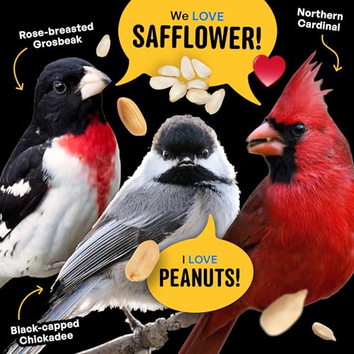 Cool Birds Safflower, Nuts & Hearts Wild Bird Seed, 10 lb | Gourmet Bird Food with Safflower, Sunflower Hearts & Peanuts. No Corn, Milo or Millet, No Waste Bird Food for Outside Feeders