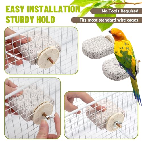4 Pcs Lava Ledge Bird Perch Platform Set for Cages | Fits Small/Medium Parrots (Budgies, Conures) | Volcanic Calcium Stone for Beak Grinding & Claw Trimming | Tool-Free Mount