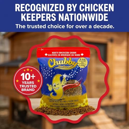 Chubby North American Grown Dried Mealworms | 2.5 lbs | Non-GMO High-Protein Treats for Chickens, Ducks & Wild Birds – Sustainable Chicken Feed | Non-GMO, High-Protein - size: 2.5 Pound (Pack of 1)