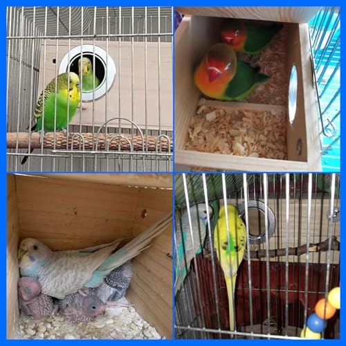 kathson Parakeet Nesting Box,Wood Bird Nest House for Cage,Parrots Breeding Mating Boxes,Budgie Nesting Box for Conure,Lovebirds,Finch,Canary,Small and Medium-Sized Birds（M） - size: M-9.84 x 5.11 x 5.11in