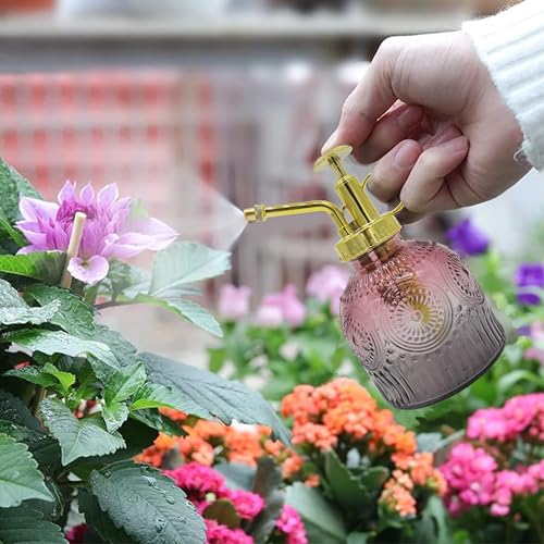 Glass Plant Mister Spray Bottle, 230ML Vintage Plant Spritzer, Succulent Watering Bottle Glass with Top Pump, Small Plants Sprayer Watering Can for Indoor Outdoor House(Red Gray) - color: Red Gray