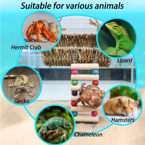 Hermit Crab Hideout with Ladder, Lizard Climbing Toys, Hermit Crab Hut with Aquarium Plants, Reptile Habitat for Gecko Hamsters Rats Birds