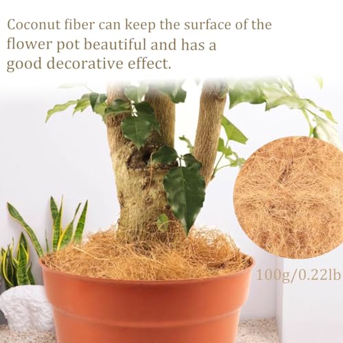 Long Coconut Husk Fiber Mulch Silk for Orchids Clean Coconut Shell Moss Covering 0.22 Pounds (Pack of 2) - size: 100 grams/0.22 pounds (Pack of 2)