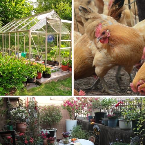 Plastic Wire Mesh Fence 16in x 20Ft Plastic Chicken Wire Mesh for Poultry, Dogs, Rabbit, Snake Barrier & Gardening Versatile Plastic Fencing (16in x 20Ft, Green) - color: Green, size: 16in x 20Ft