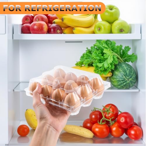 180 Pack Plastic Egg Cartons Cheap Bulk 6 Count, Clear Egg Trays 2x3 Grids | Bulk Egg Carton Fits Small to M Chicken Eggs, Reusable Egg Holder/Container for Family, Chicken Farm and Markets - size: 180P2×3