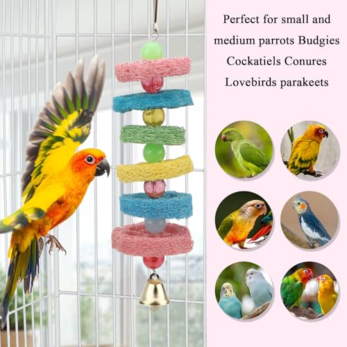 Hypeety Bird Toys Parrot Hanging Chew Toys Natural Colorful Loofah Shred and Preen Swing Bird Bell Cage Parrot Toys - color: Loofah Shred Toy