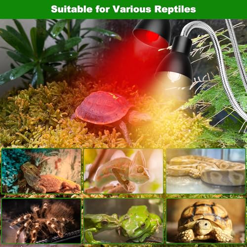 Heat Lamp for Reptile,UVA UVB Light for Turtle,Bearded Dragon Basking Light Bulbs,Dimmable 360°Gooseneck UV Heating Lamp W/ G9 Mini Halogen Bulbs 60W (White*2，Red*2) for Tortoise/Snake/Lizard