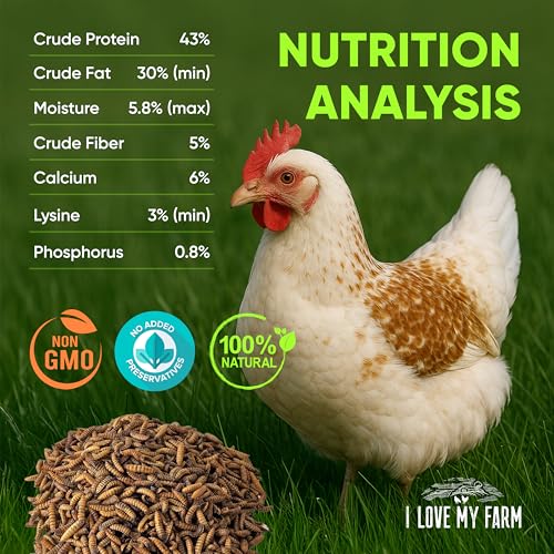 10 lb Dried Black Soldier Fly Larvae, High Protein Poultry Treat BSF | Naturally rich in protein and calcium for chickens, ducks, poultry, wild birds and reptiles