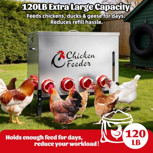 120LB Metal Chicken Feeder, Rat Proof Automatic Large Chicken Feeder with Visible Window &10 Ports, Galvanized No Waste Poultry Feeder for Chickens, Ducks, Geese - size: 120 LBS