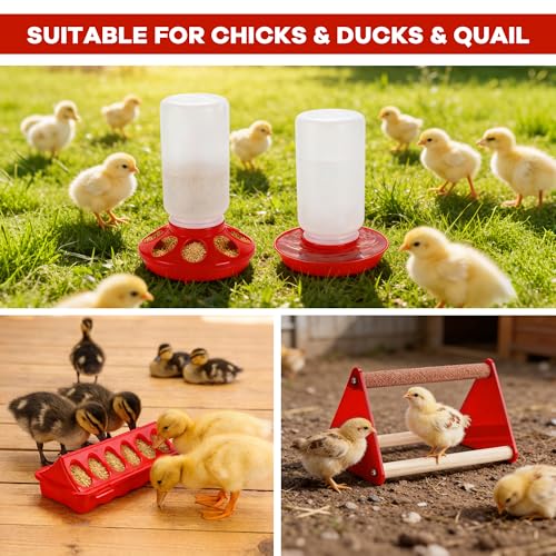 Chicken Feeder and Waterer Set, Chick Starter Kit with Chick Perch