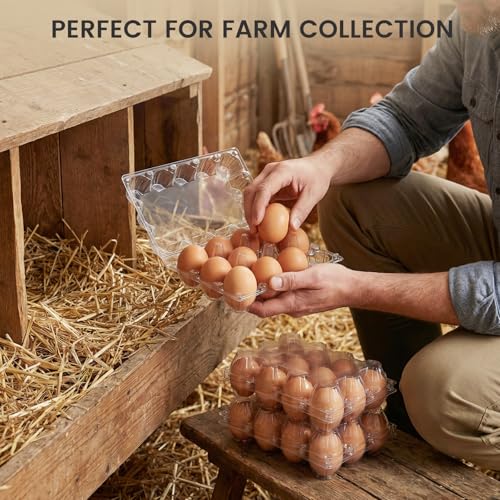 100 PCS Plastic Egg Cartons Bulk with Date Labels, 12 Count | Clear Reusable Egg Holder for Fresh, Medium Eggs Storage, Suitable for Farms, Families, Markets Display