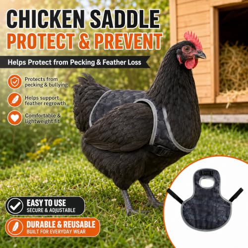 Chicken Saddle for Hens, Adjustable Hen Apron Back Protector for Protection Feather Regrowth, Waterproof Breathable Chicken Clothes with Straps, Apron for Medium to Large Hens Saddle（Black） - color: Black