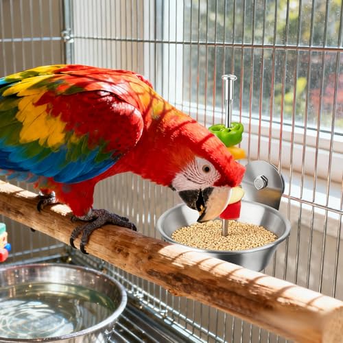 2 Pack Bird Cage Feeder with Skewer for Vegetable & Fruit, Parrot Treats Food Holder with Bowl Dish, No Mess Budgie Parakeet Cockatiel Foraging Toys Cage Accessories