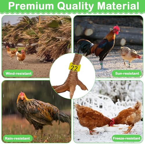 110 Pcs Chicken Leg Rings, Number Chicken Identification Hand Rings