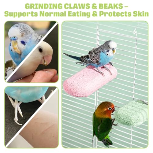 BNOSDM 4 Pcs Green Bird Beak Grinding Stone Calcium Parrot Perch 3.1*2.6in - color: 4 Pcs- Green (M+)