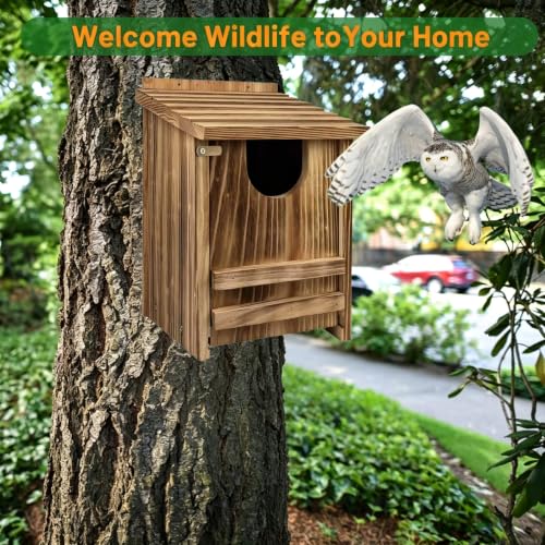 Carbonized Pine Owl Nesting Box, Outdoor Owl House 14"x9"x9" | Owl box with wood shavings, easy install. Natural wood, practical gift for bird and wildlife lovers.