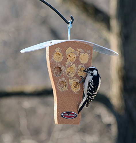 Peanut Butter Feeder with Clear Roof (Chocolate) | Clear Roof