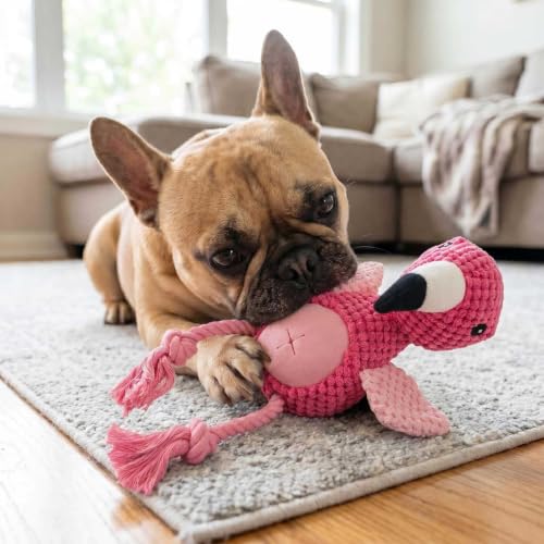 Pink Flamingo Bird Dog Chew Toy, 12.2 in, Squeaker Rope Treat Toy | Pineapple Fleece, PP Cotton Filled, Nylon Reinforced Rope, Crinkle Paper, Bite Resistant, Interactive Play, Small Medium Dogs - color: Pink Flamingo