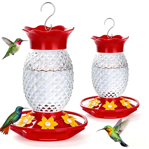 Fchstaer Glass Hummingbird Feeders for Outdoors Hanging 16oz 2 Pack Clear Pineapple Bee & Ant Proof 360°Perch Leakproof Easy Clean with 6 Feeding Ports Gifts for Mom - color: Clear-2PC