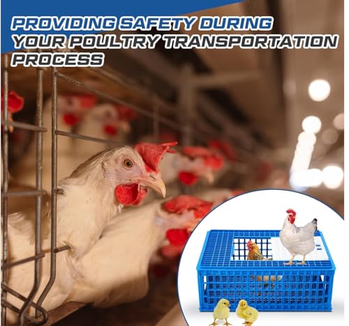 Chicken Transport 3 Door CAGE COOP Crate Chicken Quail Pigeons