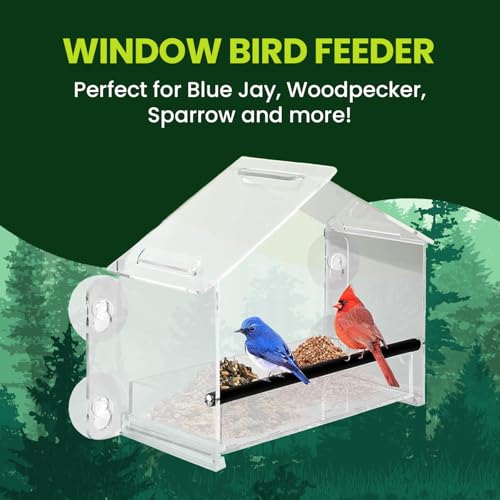 Window Bird Feeder with Strong Suction Cups, Clear Acrylic Window Mounted Bird Feeder, Removable Sliding Tray, Weather-Resistant, Durable, Squirrel-Resistant, Home Style - size: Home