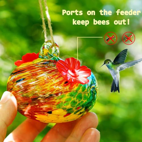 3inch Hand Blown Glass Hummingbird Feeders for Outdoors Garden Patio | 2 Flower-shaped Feeding Ports, Leak Proof, Easy to Hang on Tree Branches Eaves - color: D