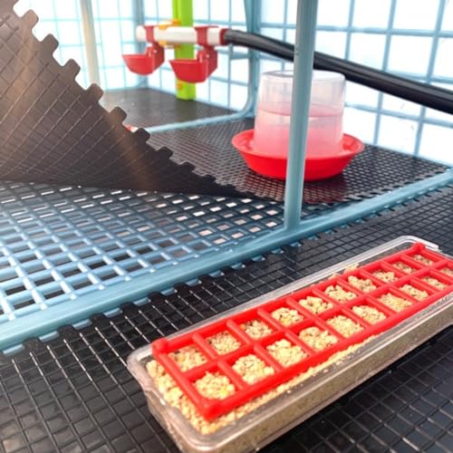 Hatching Time 9.5" Chick Brooders – Stackable or 2-Section Options with Automatic Heating, Modular Design, Easy to Clean, Ideal for Quail, Pheasant, and Baby Chicks (2 Layer) - style: 3 Section, 2 Layer